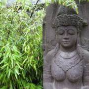 WellSpa-Portal Budda im Bambus