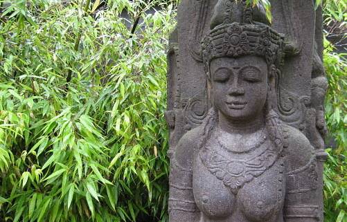 WellSpa-Portal Budda im Bambus