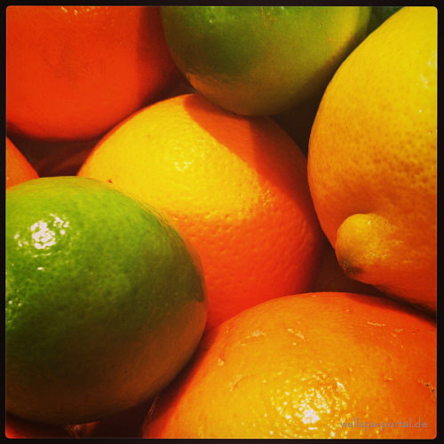 WellSpa-Portal Orange Limette Zitrone