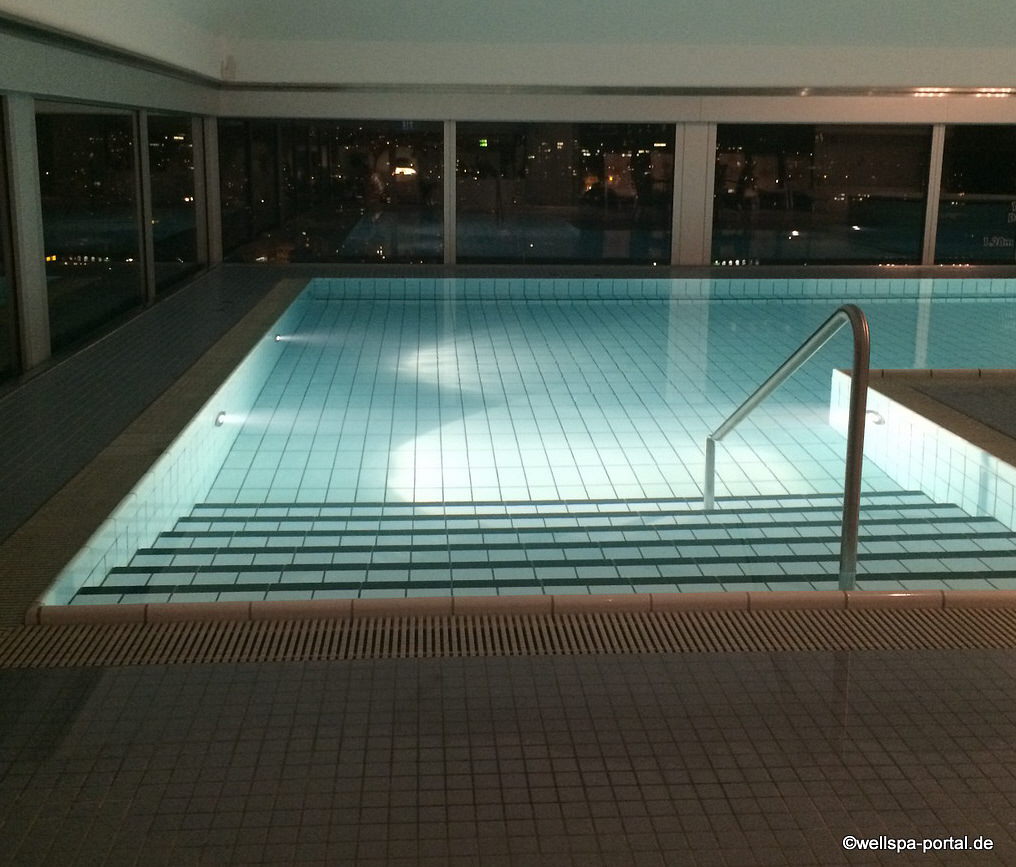 Swissôtel Zürich Pool