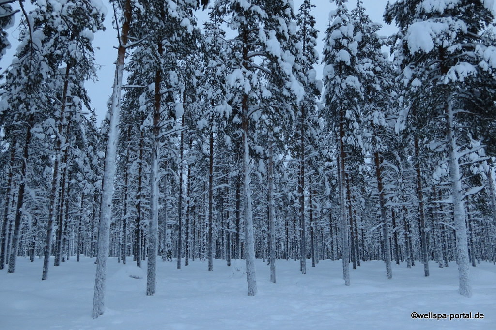 Finnland Lappland