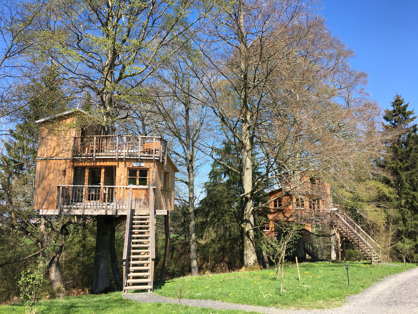 Mikroabenteuer Ungewöhnlich Übernachten im Baumhaus im Allgäu