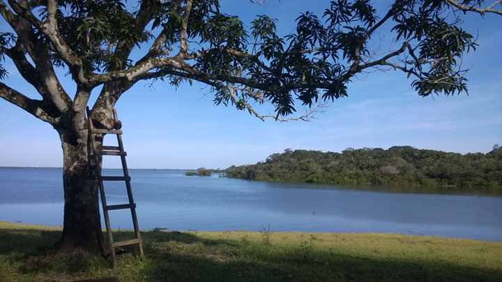 Halbinsel am Lago Manacapuru, echte Seenliebe