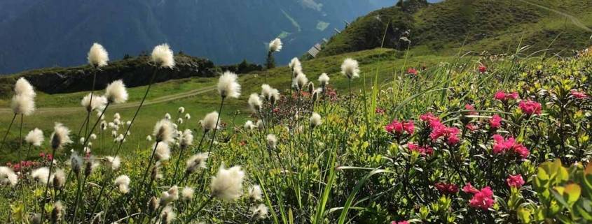 Urlaub Silvretta Montafon. Auszeit auf dem Berg Vorarlberg Österreich