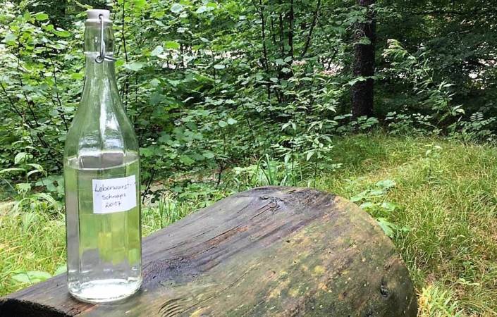 Waldness Wohlfühloase Wald Almtal Oberösterreich. Leberwurscht Schnaps in Sachen Kneipp