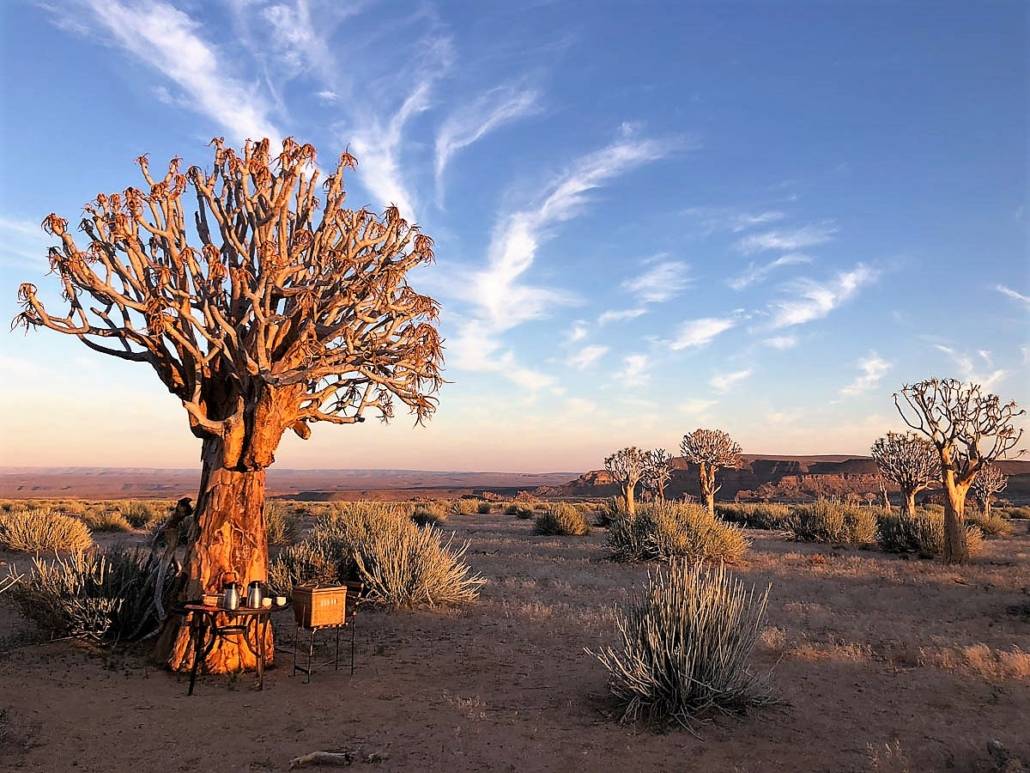 Namibia ist ein Traumland auch für Fotografen. Große Gegensätze sorgen für den besonderen Charme des Landes. Besonders für Auszeitgeniesser und Genussabenteurer bieten Wüste, Farben und Formen ein echtes Highlight Namibias. Unterwegs in Afrika zwischen Wüsten, Nationalparks und wilden Tieren. #Namibia #Fotografie #Tipps #Reise #Fotoparade #Auszeitgeniesser