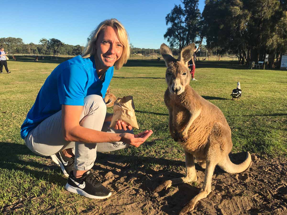 Känguru füttern an der Ostküste in Australien