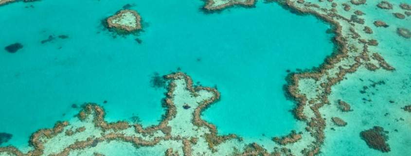Blick auf das Great Barrier Reef vor der Ostküste Australiens