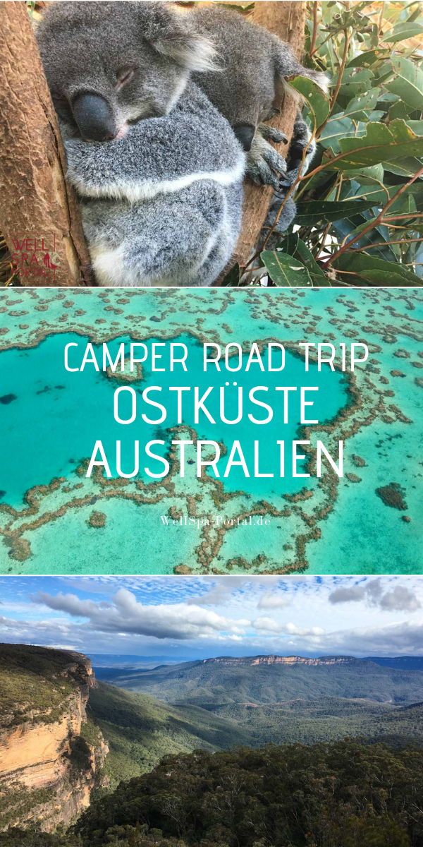 Camper Road Trip an der Ostküste von Australien. Alle Fakten Informationen über die beste Reieszeit, wo man Wohnmobile mieten kann, Führerschein, Einreisepapiere und vieles Wissenwerte über Down Under