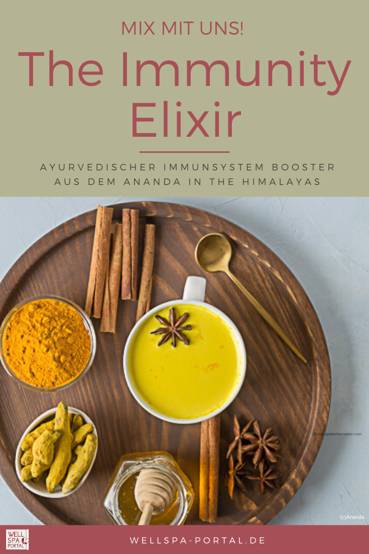 AYURVEDISCHER IMMUNSYSTEM BOOSTER - Immunity Elixir