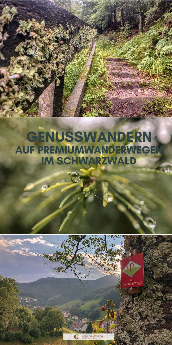 Die schönsten Wanderungen auf Premiumwegen im Schwarzwald bei Bad Peterstal-Griesbach