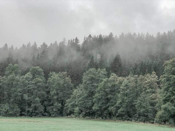 Waldbaden im Nebel im Steinwald