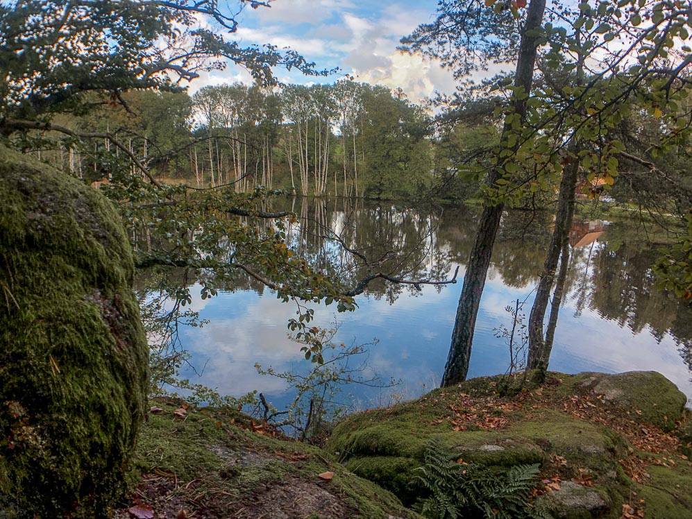 Naturpark Steinwald - Geheimtipp nachhaltige Ökomodellregion - WellSpa-Portal